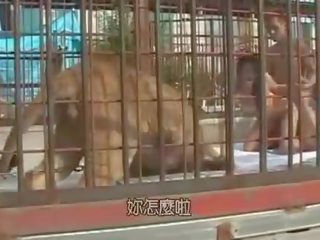 Японки мацка прецака вътре на lions клетка